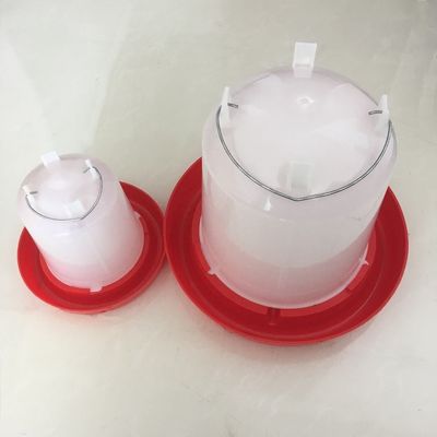 Automatic poultry pigeon dove feeder for chicken turbo feeder bucket chick manual bird