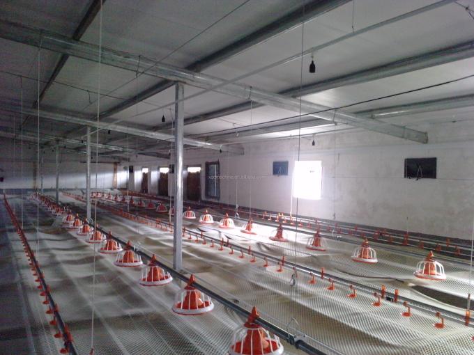 Automatic poultry watering water system for chicken broilers layers quail farm