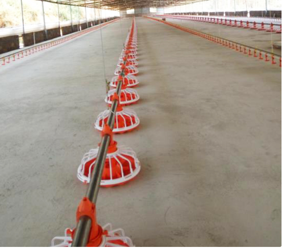 Volledig automatisch kippenvoervijzelsysteem Gevogeltevijzelvoeder voor boerderij 0