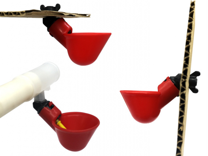 Animal Farm Gereedschap Automatische Kip Vogelhok Gevogelte Water Drinkbak Plastic Kip Kuiken Gevogelte Drinknippel Drip 7
