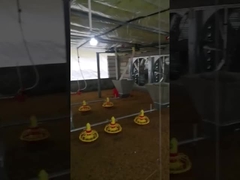 Het aangepaste Automatische Regelbare Voltage van het de Voedermateriaal van het Kippenlandbouwbedrijf