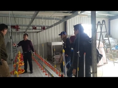 Het drinkwater van ganzeneenden het water geven het Uitsteeksel Waterer van systeemdrinkers voor het fokken van het vogelgevogelte de landbouw