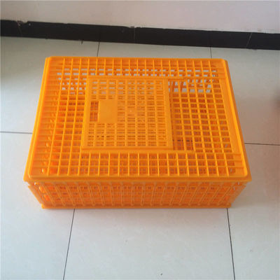 Plastic kratten voor het overbrengen van kippen